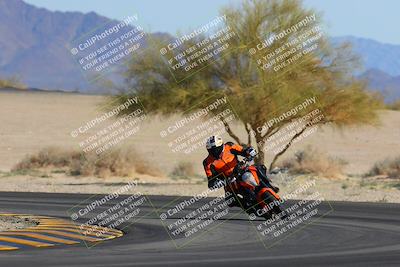 media/Feb-04-2023-SoCal Trackdays (Sat) [[8a776bf2c3]]/Turn 4 (Tree of Life 2pm)/